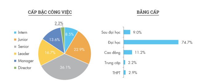 báo cáo Vietnamwork bằng cấp và vị trí